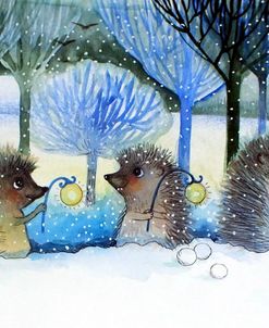 Winter Hedgehogs