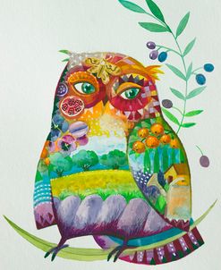 Owl From Provence