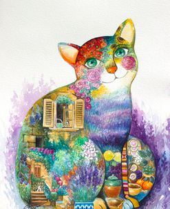 Beautiful Provence Cat