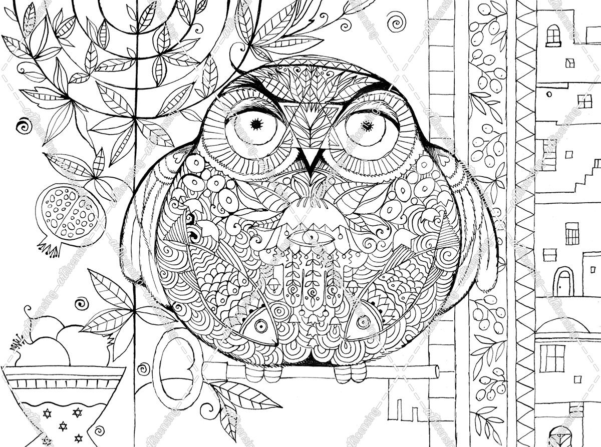 Judaica Folk Owl – Outline