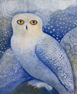 Snowy Owl