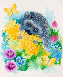 Hedgehog