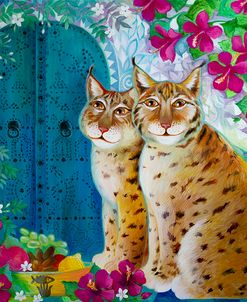 Lynx
