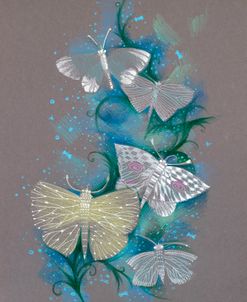 Butterflies