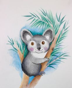 K – Koala