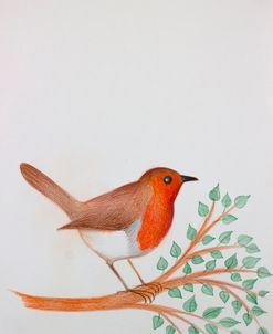 R – Robin