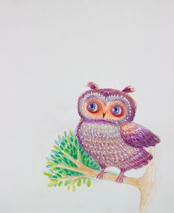 O – Owl