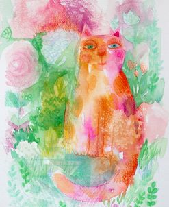 Morning Cat