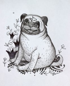 Pug