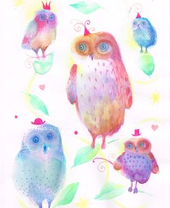 Sweet Owls