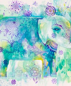 Elephant dream