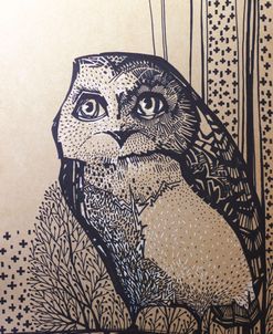 Owl 5