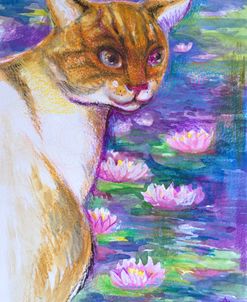 Water Lilies