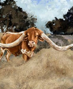 Bale Buster