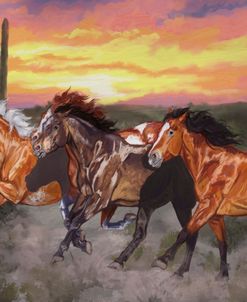 Sunset Stampede