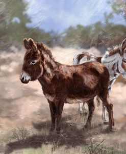 Mommas Donkeys