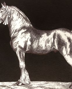 Draft Horse