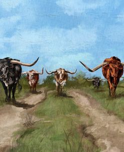 Longhorn Parade