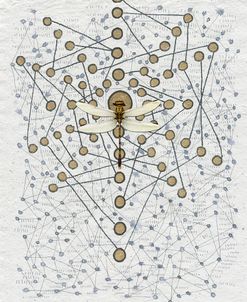 Dragonfly Chakra Web
