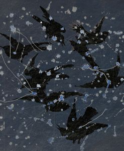 Midnight Fly
