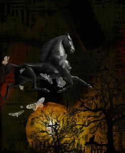 Midnight Whispers
