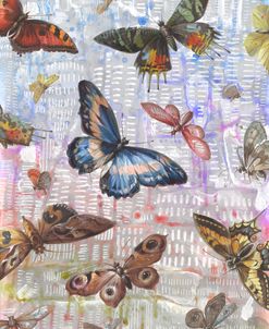 Rainbow Lines With Butterflies