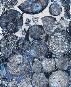 Black And Blue Algae
