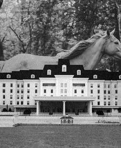 Horse Equestrian Center Bw