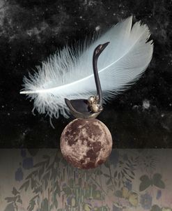 Swan Spirit