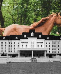 Horse Equestrian Center