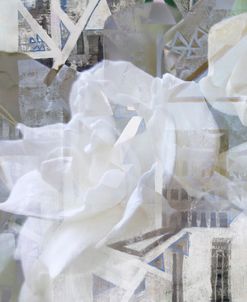 Urban Gardenia