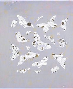 Butterfly Constellations in Purple