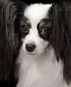 Papillon