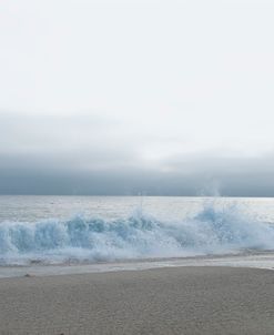 Point Zuma Coast