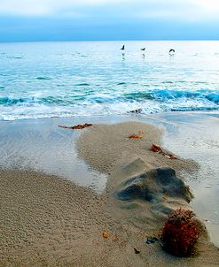 Zuma Beach, Ca