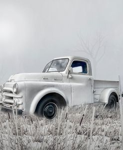 White Out Dodge