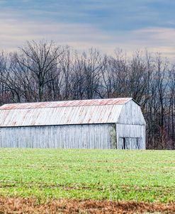 Country Field Barn