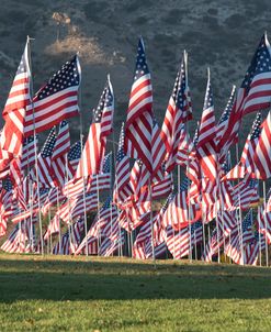 American Flags 1