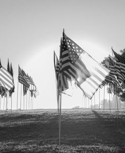 American Flags 2