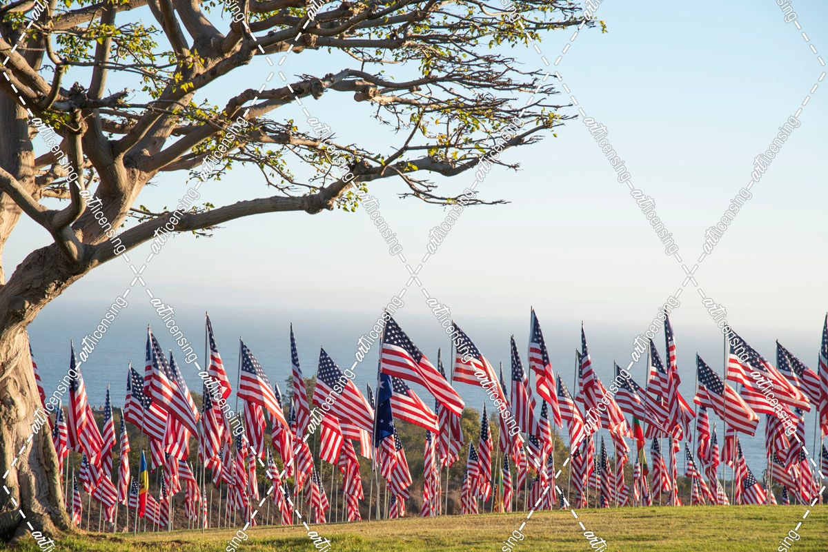 American Flags 3