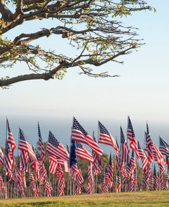 American Flags 3