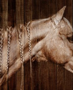 Braided Horse