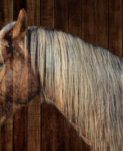 Golden Brown Horse