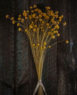 Dried Flowers