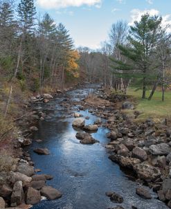 River In The Woods