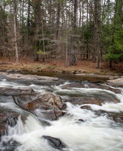River Rocks