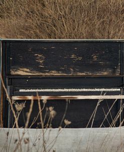 Weathered Piano