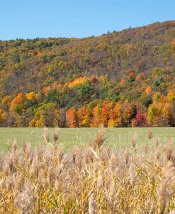 Autumn Mountain