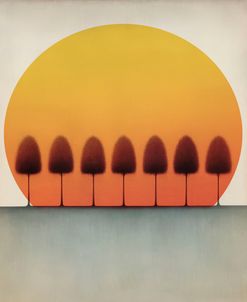 Sunset Sunrise Trees