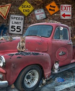 Cats And The Chevy